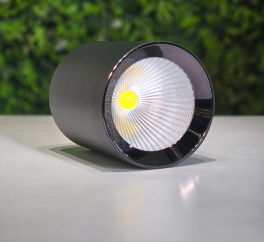 Lx 89300 50W Round Surface Cylindrical Light